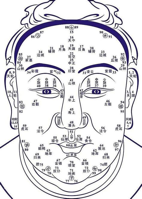 面相男眉毛|眉毛看相算命图解